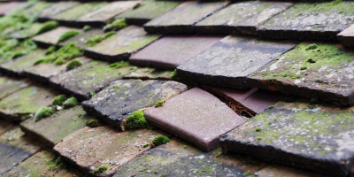 Filkins roof repair costs